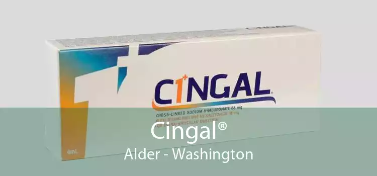 Cingal® Alder - Washington