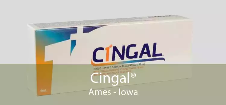 Cingal® Ames - Iowa