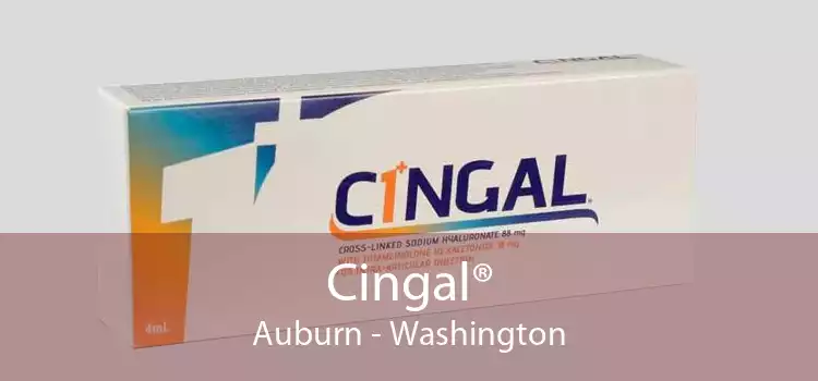 Cingal® Auburn - Washington