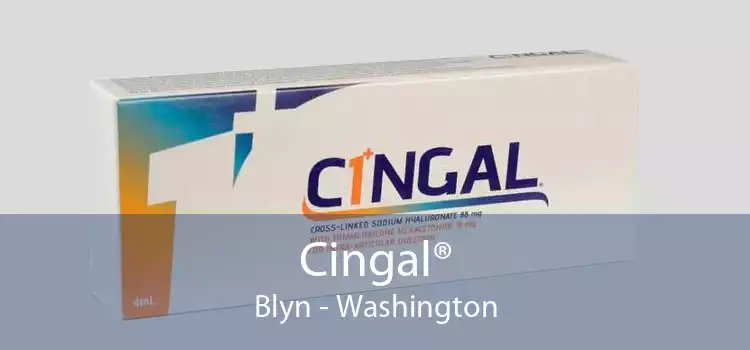 Cingal® Blyn - Washington