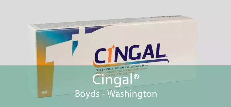 Cingal® Boyds - Washington