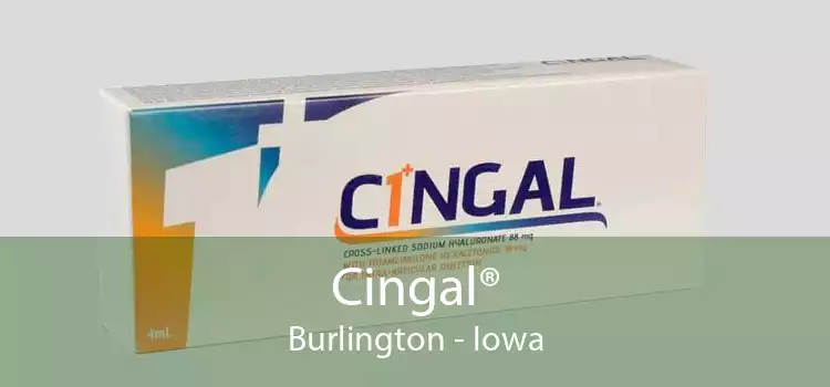 Cingal® Burlington - Iowa