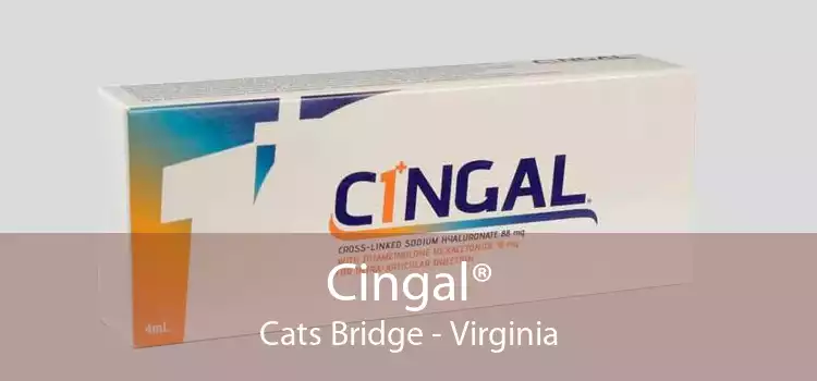 Cingal® Cats Bridge - Virginia