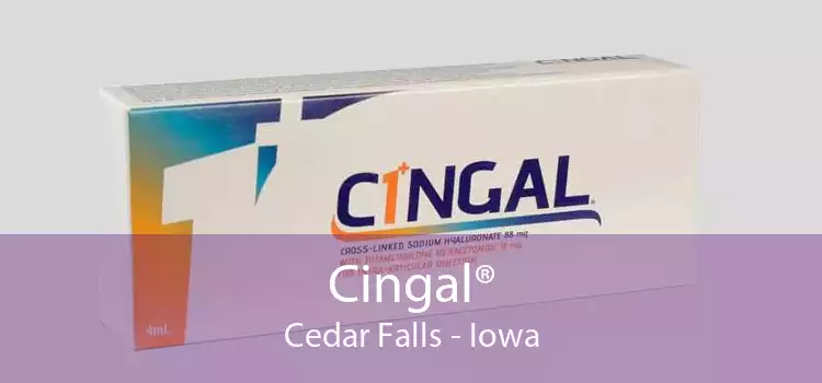 Cingal® Cedar Falls - Iowa