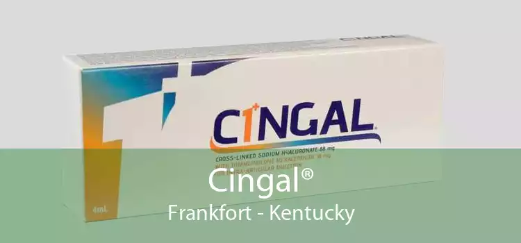 Cingal® Frankfort - Kentucky