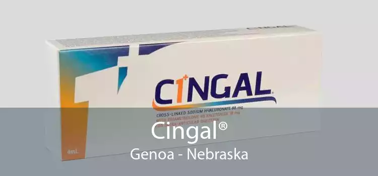 Cingal® Genoa - Nebraska