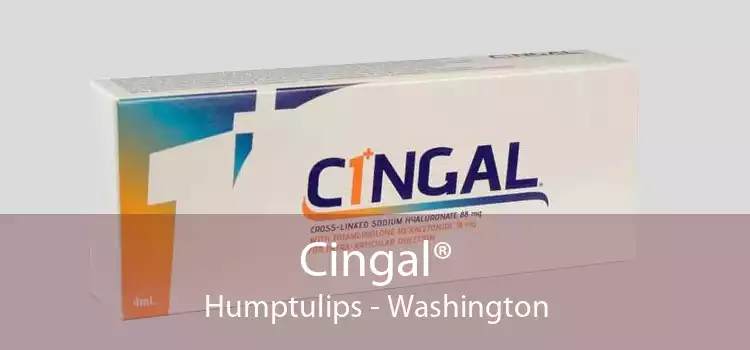 Cingal® Humptulips - Washington