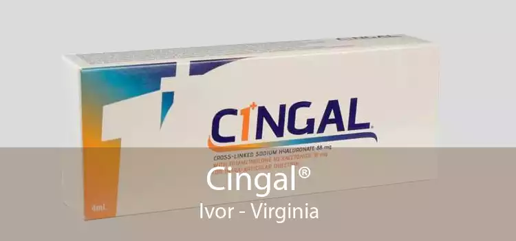 Cingal® Ivor - Virginia