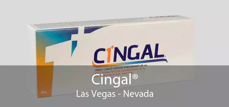 Cingal® Las Vegas - Nevada