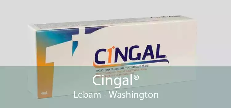 Cingal® Lebam - Washington