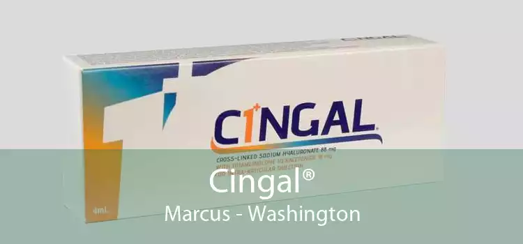 Cingal® Marcus - Washington