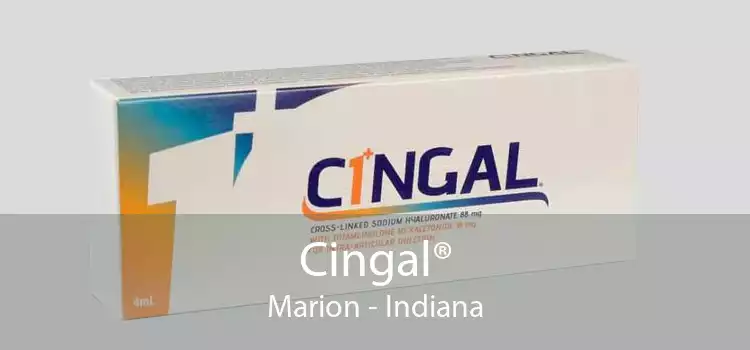 Cingal® Marion - Indiana