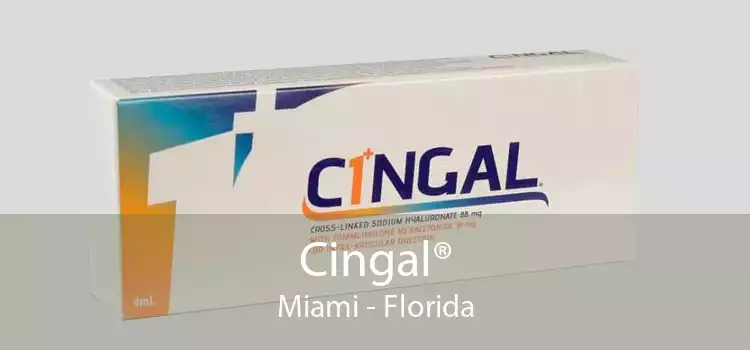 Cingal® Miami - Florida
