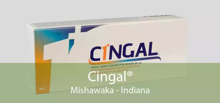 Cingal® Mishawaka - Indiana