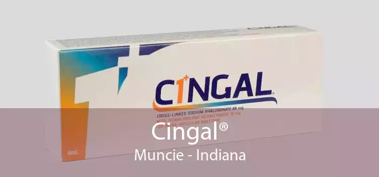 Cingal® Muncie - Indiana