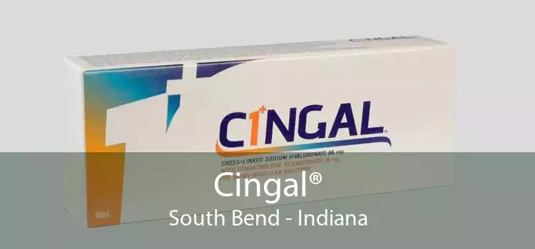 Cingal® South Bend - Indiana