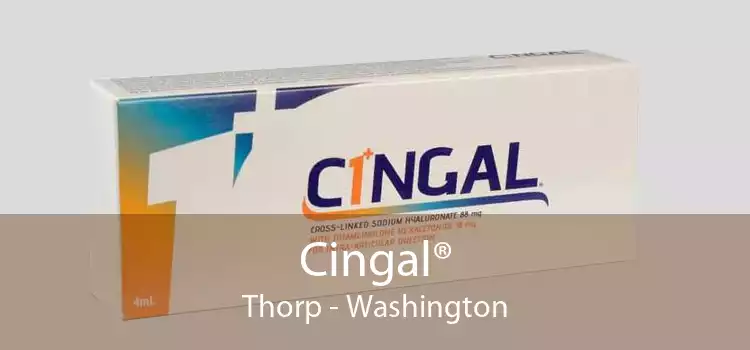 Cingal® Thorp - Washington